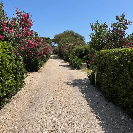 Apartment Letizia Pula